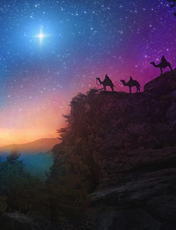 Vladimir Weaver - Exciting books, stories